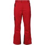Willard STANER XL