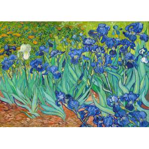 Enjoy - Puzzle Vincent Van Gogh: Irises - 1 000 piese