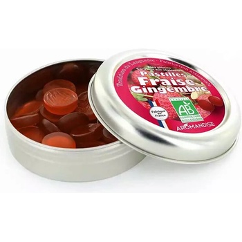 Aromandise Пастили с ягоди и джинджифил, 45 g | Aromandise (791300 (BF10) ARMD)