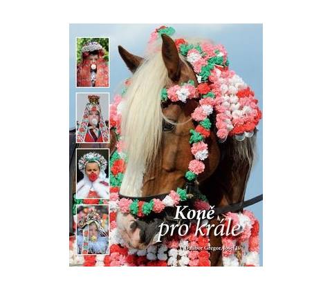 Koně pro krále