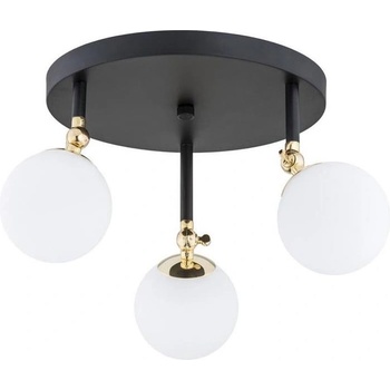 Image 1 of Argon LATINA 1436