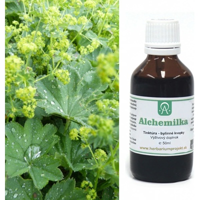 Alchemilka žltozelená tinktúra 50 ml