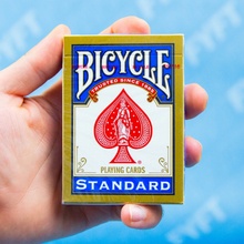 Bicycle USCC Standard Rider Back Paluba Bicycle Intl. 0
