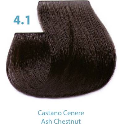 Silky Dressing farba na vlasy 4.1 100 ml
