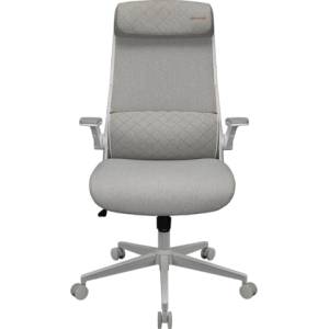 COUGAR Stryder, White, 17kg (CGR-STD-ASW)