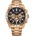 Citizen AN8233-51E