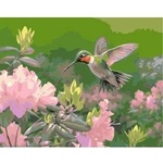 Smart Flamingo Creative set Flamingo Line Painting by numbers 40x50cm Hummingbird (FSY213)