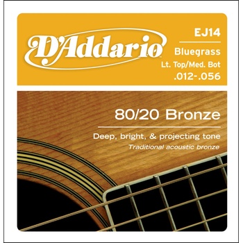 DAddario EJ14