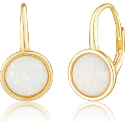 JVD Pozlátené strieborné náušnice SVLE0697XH2GO00