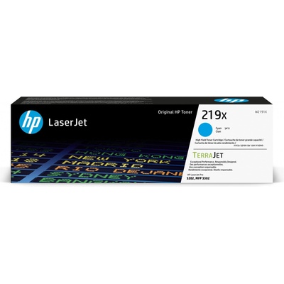 HP W2191X