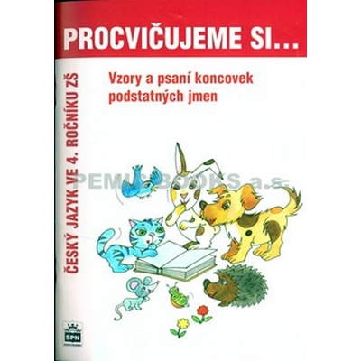Vzory podstatných jmen a psaní jejich koncovek Lenka Galertová Milena Brychtová