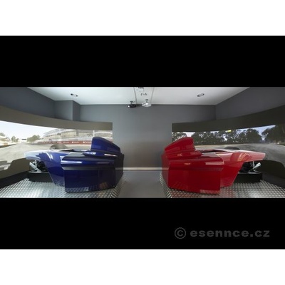 Závody Formule 1 - dva simulátory 60 min.