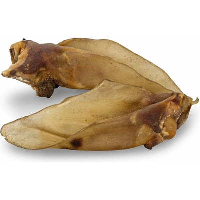 KIDDOG 100% Natural Snack, hovězí ucho Jumbo XXL 1ks 20 28cm