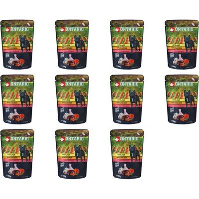 Ontario chrupavky s kuřecím ve vývaru 11 x 100 g