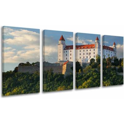Obraz na stenu SLOVENSKO - 80x40 cm