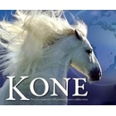 Kone Svojtka