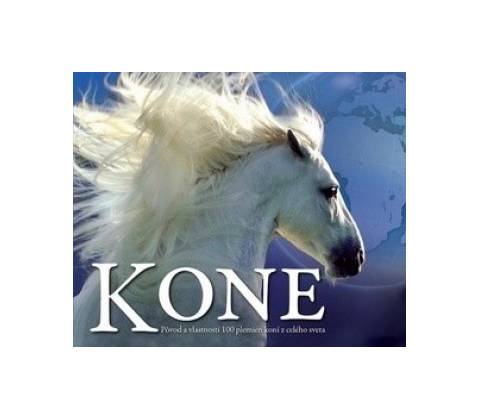 Kone Svojtka