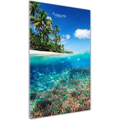 Vertikálny foto obraz sklo tvrdené Koralový útes 50x100 cm