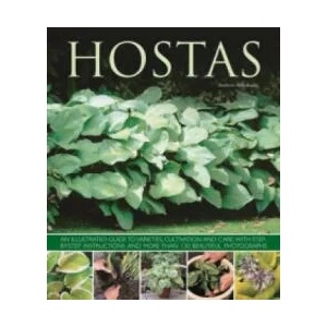 Hostas | Andrew Mikolajski (ISBN: 9781780192383)