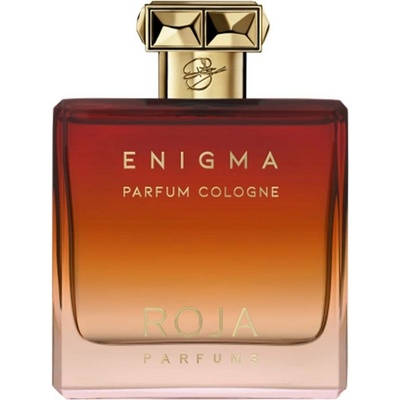 Roja Parfums Enigma Kolínská voda pánská 100 ml