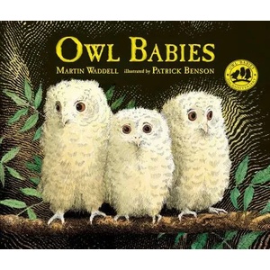 Owl Babies (ISBN: 9780763695194)
