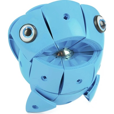 GEOMAG KOR Blue 55