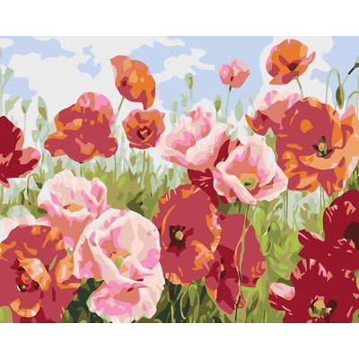 zuty Malování podle čísel Vlčí máky v mnoha odstínech 100 x 80 cm bez rámu a bez vypnutí plátna