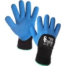 Canis CXS ROXY BLUE WINTER
