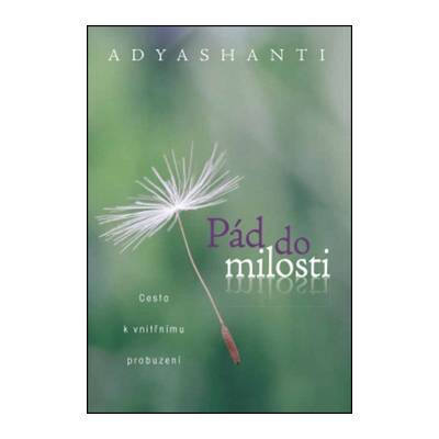 Pád do milosti - Cesta k vnitřnímu probuzení - Adyashanti