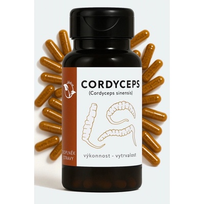 LifeChi Housenice čínská Cordyceps sinensis extrakt 300 mg 100 rostlinných kapslí