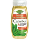 Šampóny BC Bione šampón na mastné vlasy Cannabis 260 ml