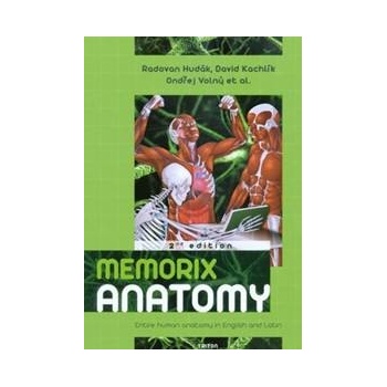 Memorix anatomy