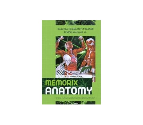 Memorix anatomy
