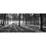  Фототапет флис Черно-бяла гора