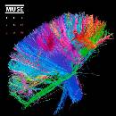 MUSE: 2ND LAW, CD