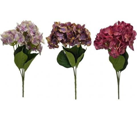 KYTICA HYDRANGEA MIX/3F