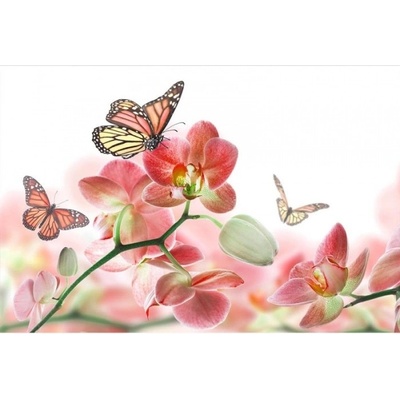 DIMEX ART Флизелинов фототапет пеперуди и орхидеи 375 x 250 см