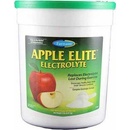 Vitamíny a doplňky stravy pro koně Farnam Elite Electrolyte Apple 2,27 kg