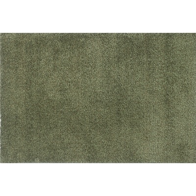 Turtle Mat Absorpčná rohožka do domácnosti Sage Green 75 x 150 cm