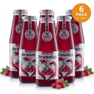 Zagro Detox Max kúra Brusnica šťava 6 x 700 ml