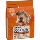 Dog Chow Senior Lamb 2,5 kg