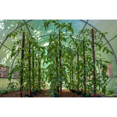 G21 200 x 300 x 200 cm zelený – Zboží Mobilmania