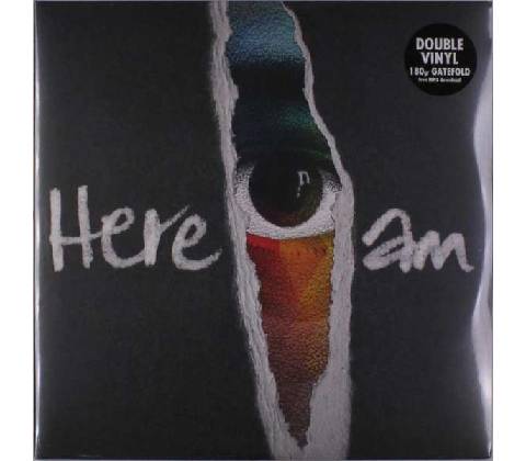 GROUNDATION: HERE I AM LP