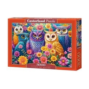 Castorland 3000-piece Flower Owl Meeting Puzzle C-300723-2