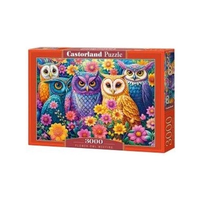 Castorland 3000-piece Flower Owl Meeting Puzzle C-300723-2