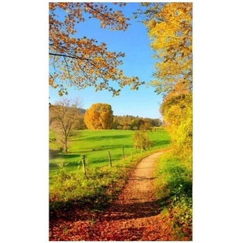 DIMEX ART s. r. o Флизелинов фототапет ливада 150 x 250 см