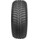 Taurus Winter 255/55 R19 111V