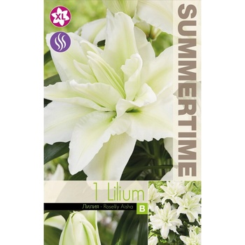 Seklos Лилиум Decorative Double Roselily Aisha - 1 бр луковицa