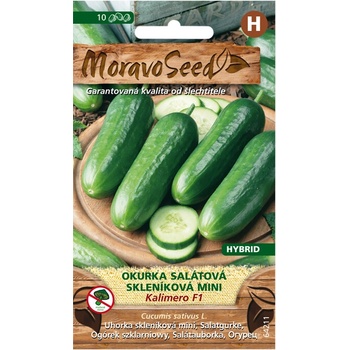 Uhorka šalátová do skleníka KALIMERO F1 - hybrid 64211