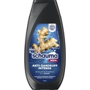 Schauma AntiDandruff X3 Intensive šampon pro vlasy s neústupnými lupy 250 ml